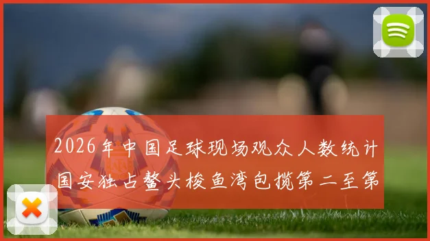 2026年中国足球现场观众人数统计国安独占鳌头梭鱼湾包揽第二至第七位